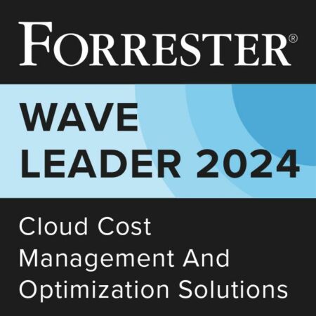 2024Q3_Cloud-Cost-Management-And-Optimization-Solutions