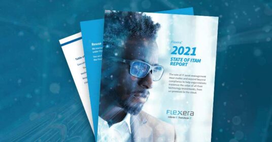 2021 State of ITAM