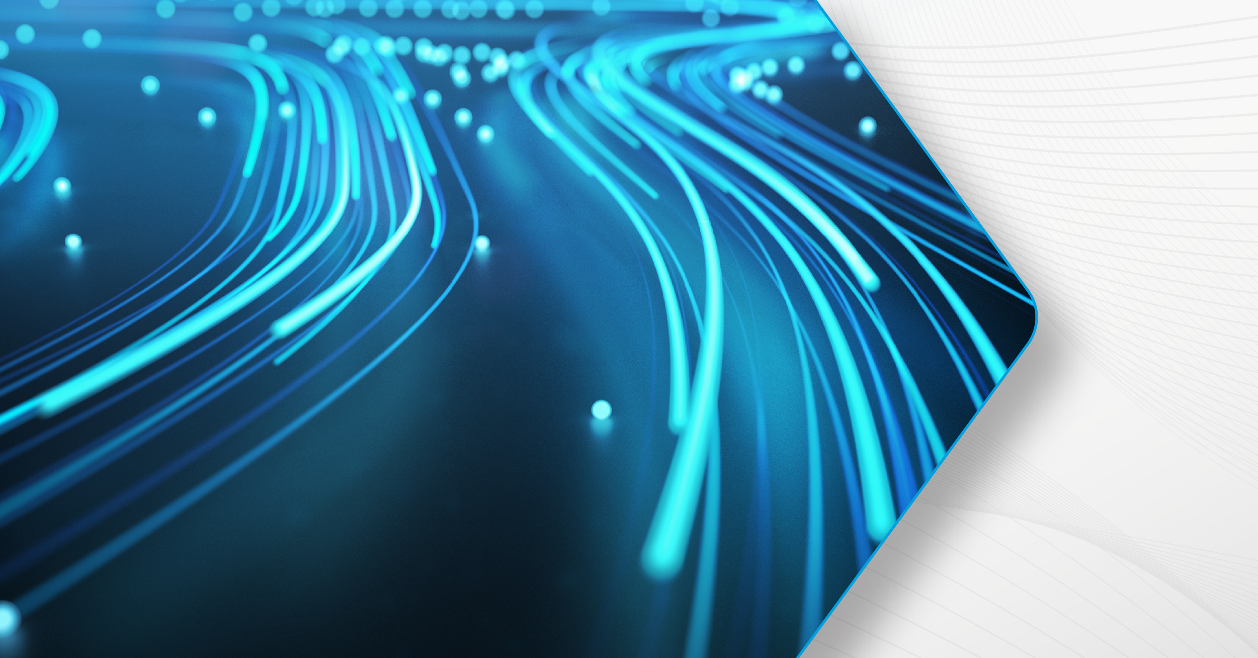 Image: New Flexera One capabilities for MSPs