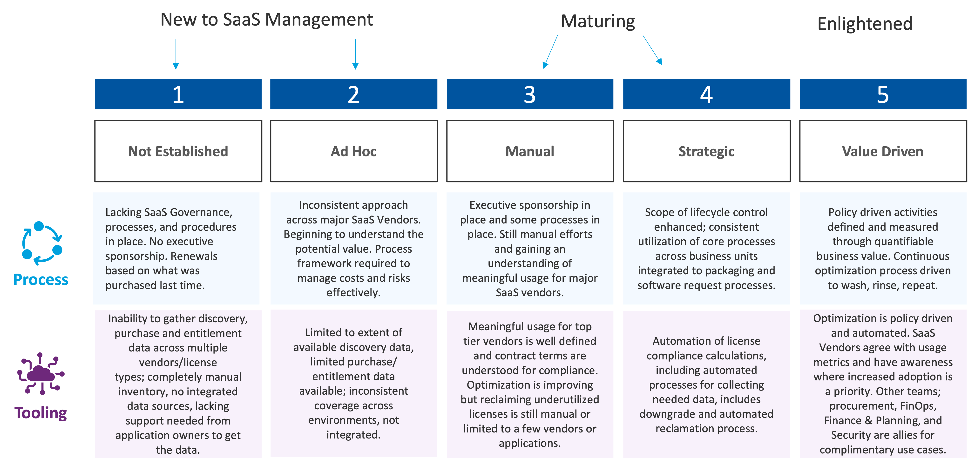 Flexera SaaS Management Maturity